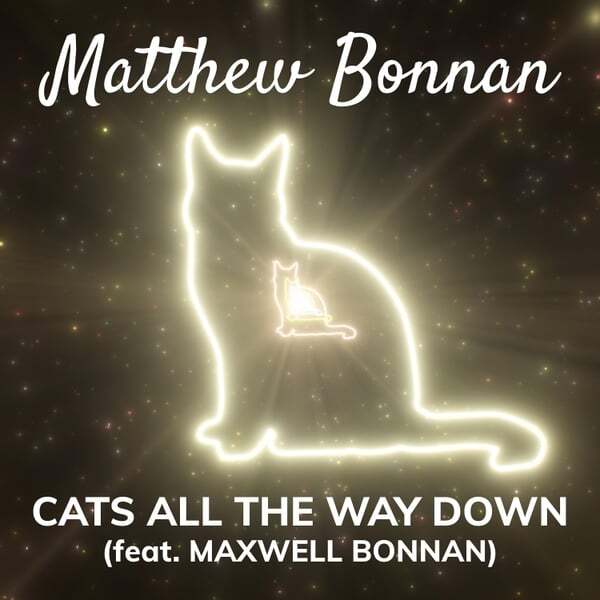 Cover art for Cats All the Way Down